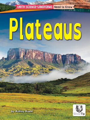 cover image of Plateaus